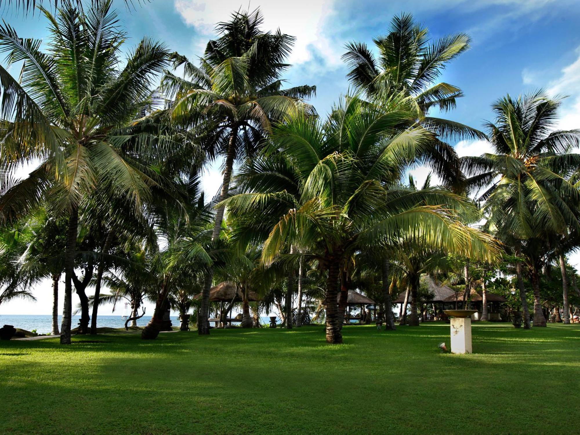 Hotel Puri Bagus Lovina Exterior foto